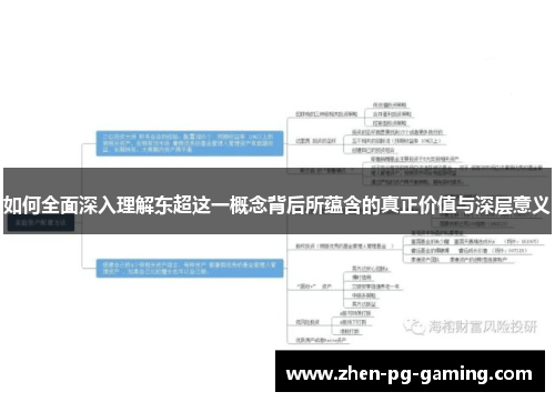 如何全面深入理解东超这一概念背后所蕴含的真正价值与深层意义