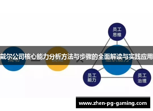 戴尔公司核心能力分析方法与步骤的全面解读与实践应用