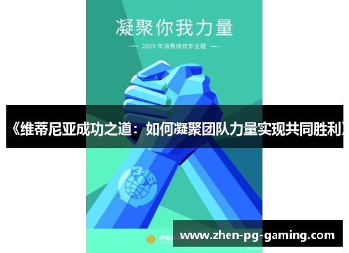 《维蒂尼亚成功之道：如何凝聚团队力量实现共同胜利》