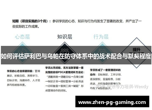 如何评估萨利巴与乌帕在防守体系中的战术配合与默契程度