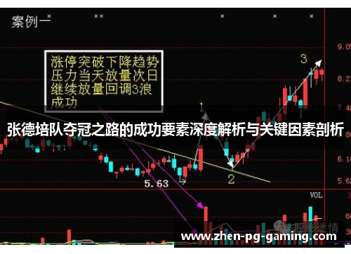 张德培队夺冠之路的成功要素深度解析与关键因素剖析